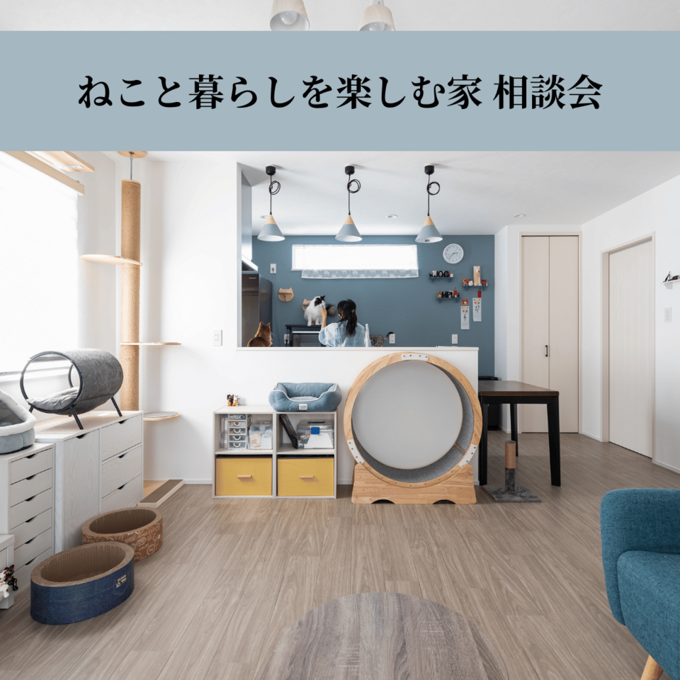 ねこと暮らしを楽しむ家 相談会