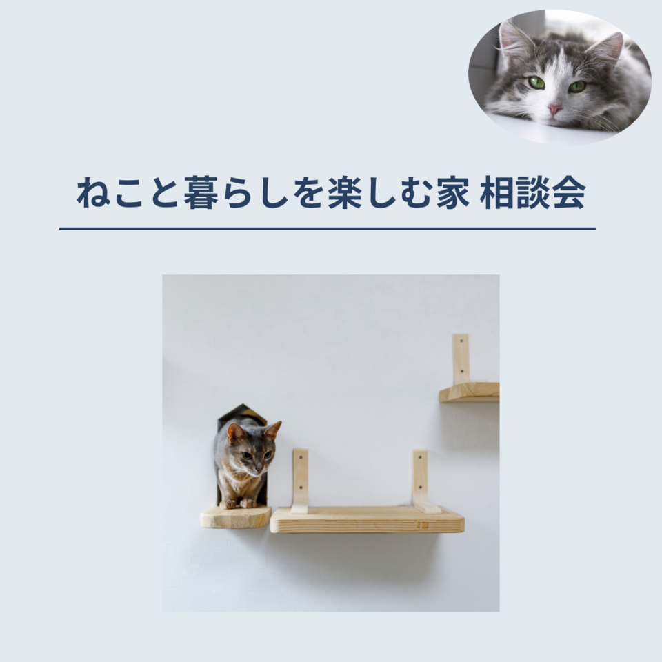 9月度ねこと暮らしを楽しむ家 相談会